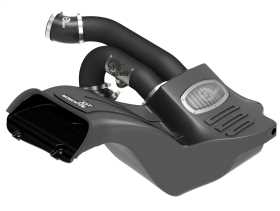 Momentum Pro DRY S Air Intake System 51-73120-B